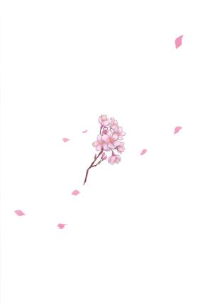 Image 4977791