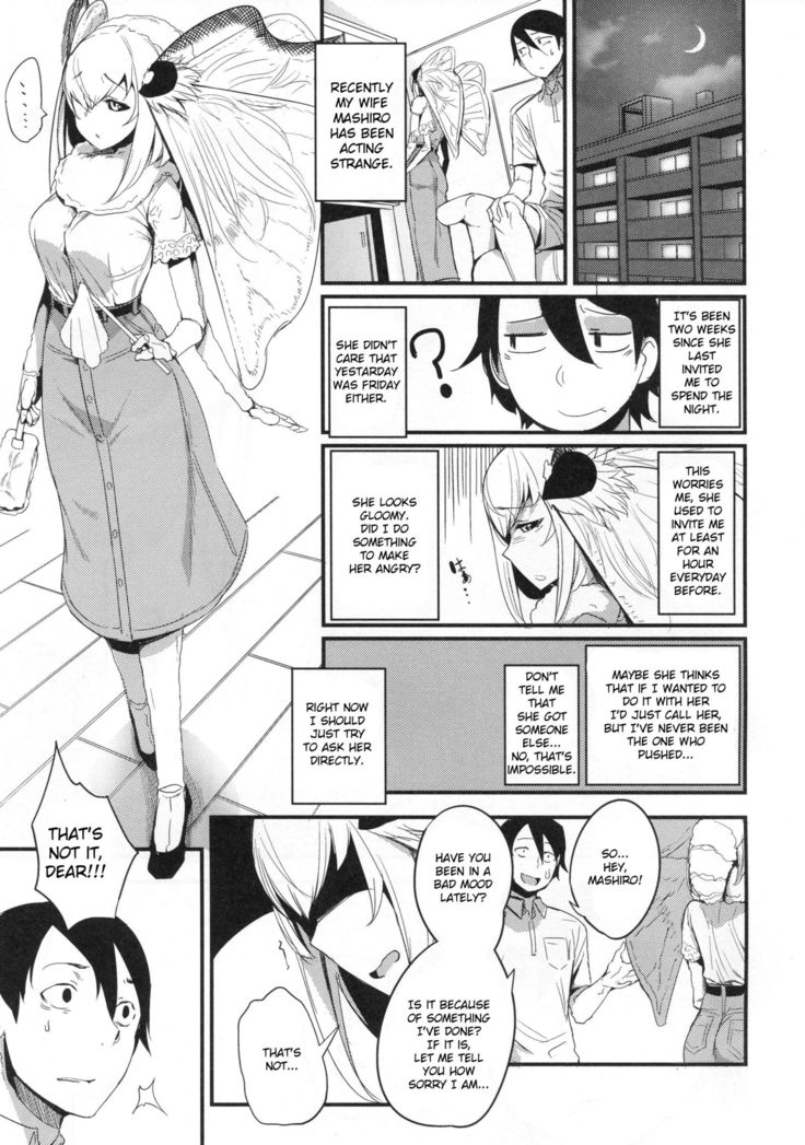 Shiragasane -Tojinawa-