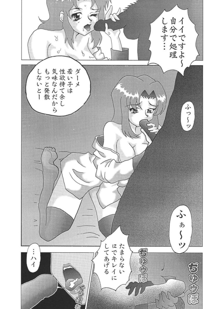 NEXT Climax Magazine 14 GUNDAM SEED ONLY