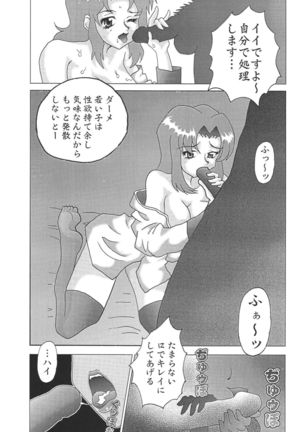 NEXT Climax Magazine 14 GUNDAM SEED ONLY Page #83