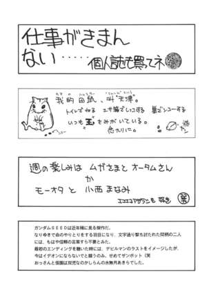 NEXT Climax Magazine 14 GUNDAM SEED ONLY Page #93