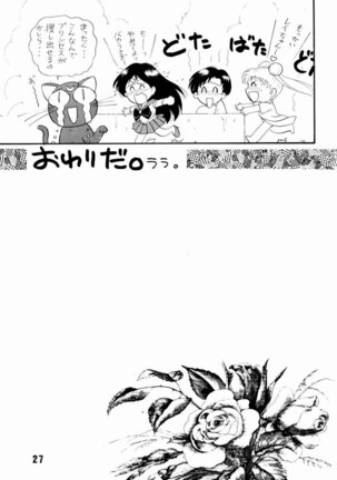 Sailor Moon Jinsei - Page 26