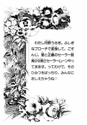 Sailor Moon Jinsei - Page 3