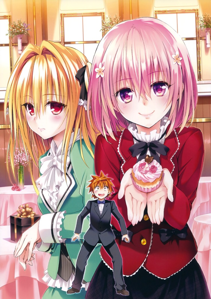 To Love-Ru -Trouble- Darkness Artbook Harem Gold