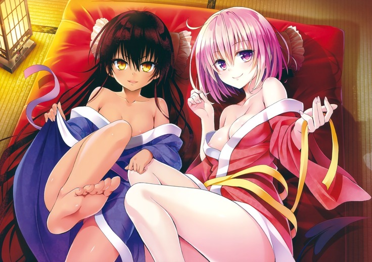 To Love-Ru -Trouble- Darkness Artbook Harem Gold