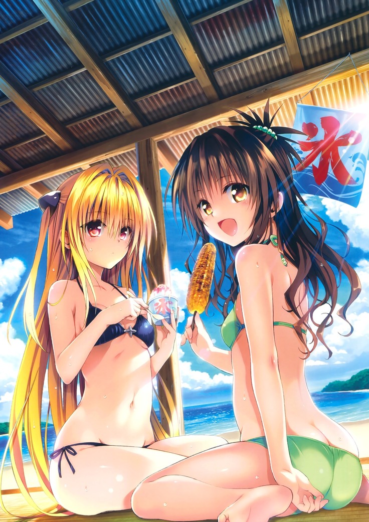 To Love-Ru -Trouble- Darkness Artbook Harem Gold