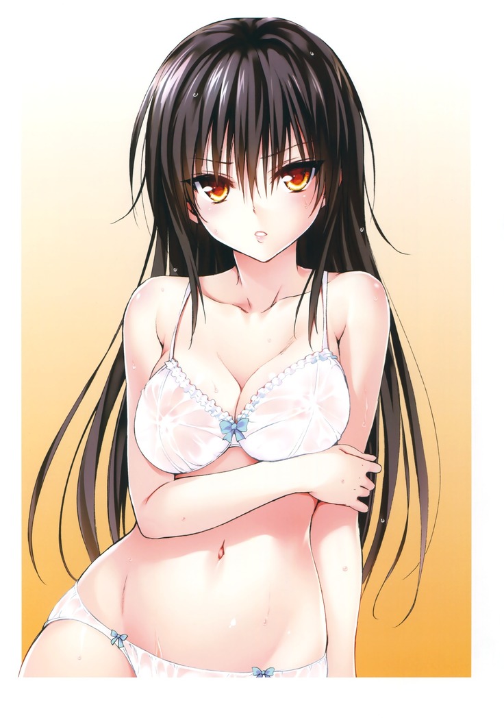 To Love-Ru -Trouble- Darkness Artbook Harem Gold