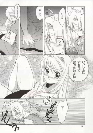 Fullmetal Alchemist - EDxWIN - Page 34