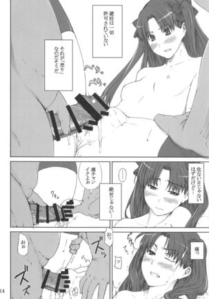 Tohsaka-ke no Kakei Jijou Soushuuhen 1 Page #13