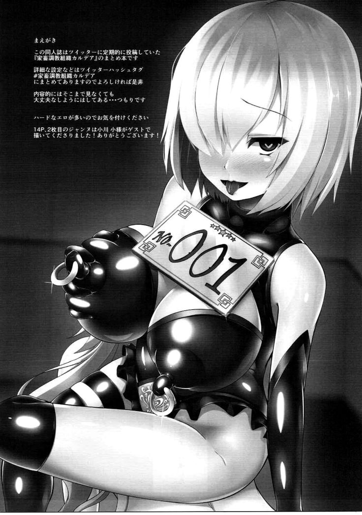 Kachiku Choukyou Soshiki CHALDEA
