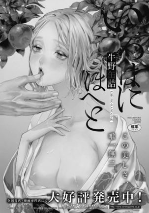 COMIC HOTMiLK Koime Vol. 20 Page #268