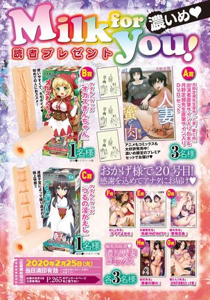 COMIC HOTMiLK Koime Vol. 20 Page #260