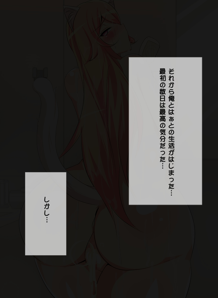 Sukebe de Bitch na Mesu Neko-chan wa Ecchi na Miruku ga Dai Koubutsu