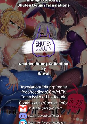 Chaldea Bunny Collection Page #23