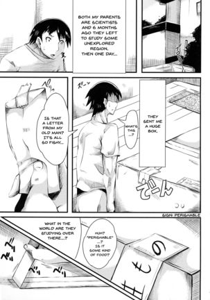 Hikyou kara no Okurimono | Delivered From An Unexplored Region - Page 4