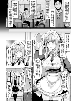 ELFIN QUEST #Maid Saimin Ryoujoku Hen Page #3