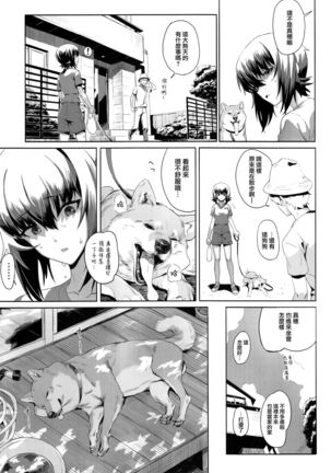 Image 11651997