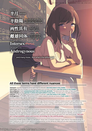 Image 13325608