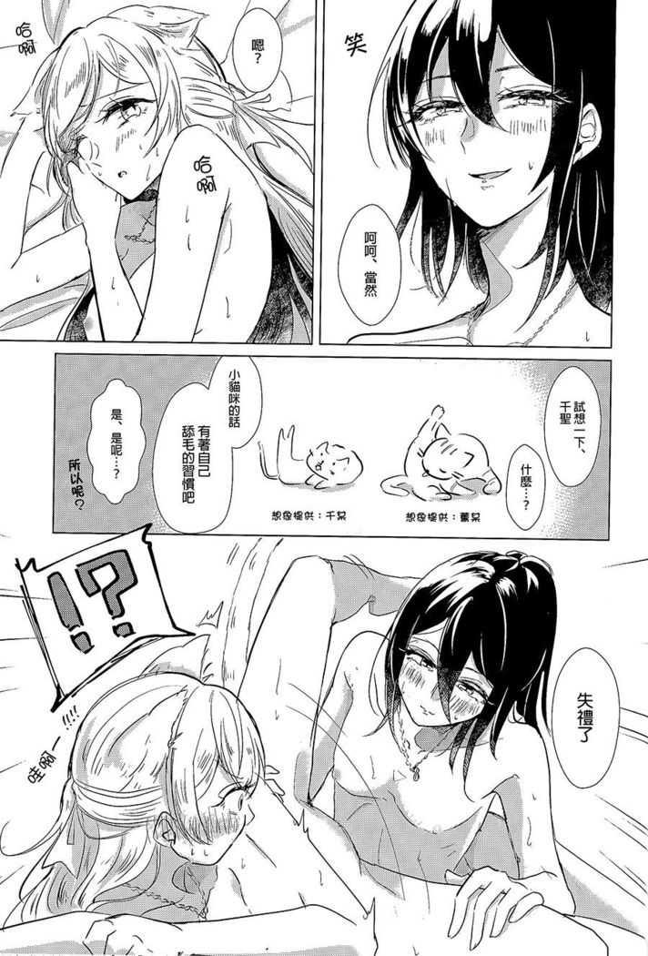 Cat play