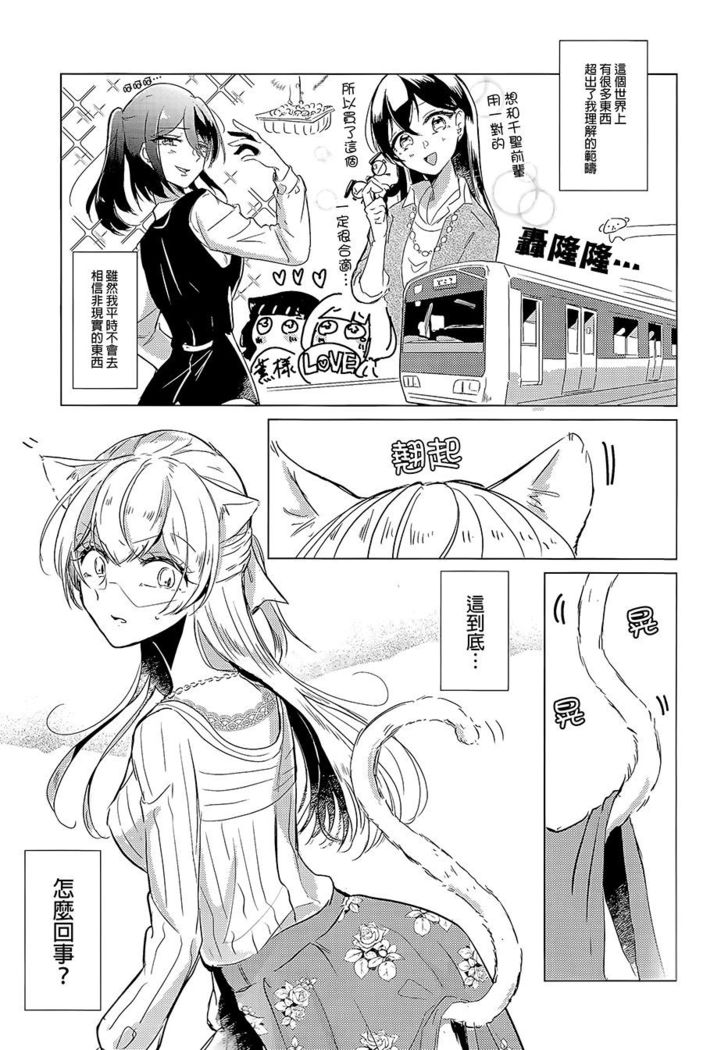 Cat play