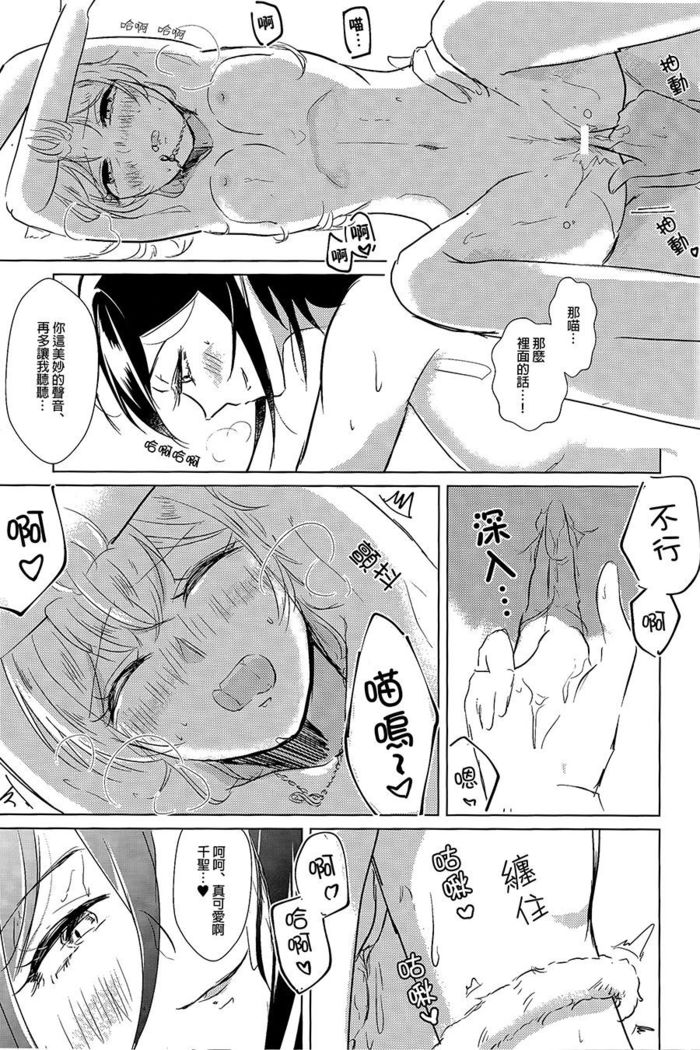 Cat play