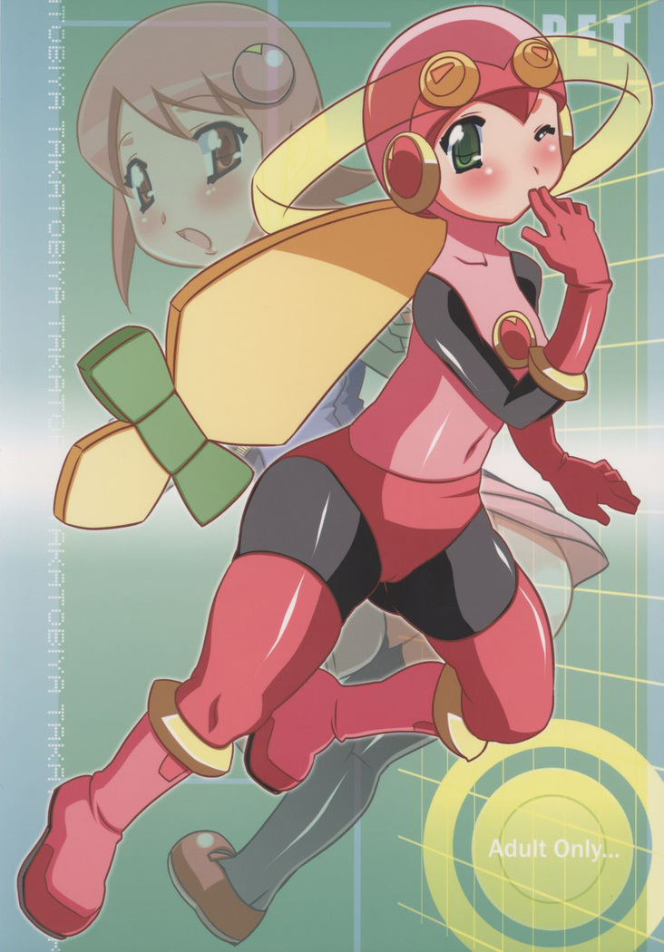 GOOD BYE ROCKMAN EXE