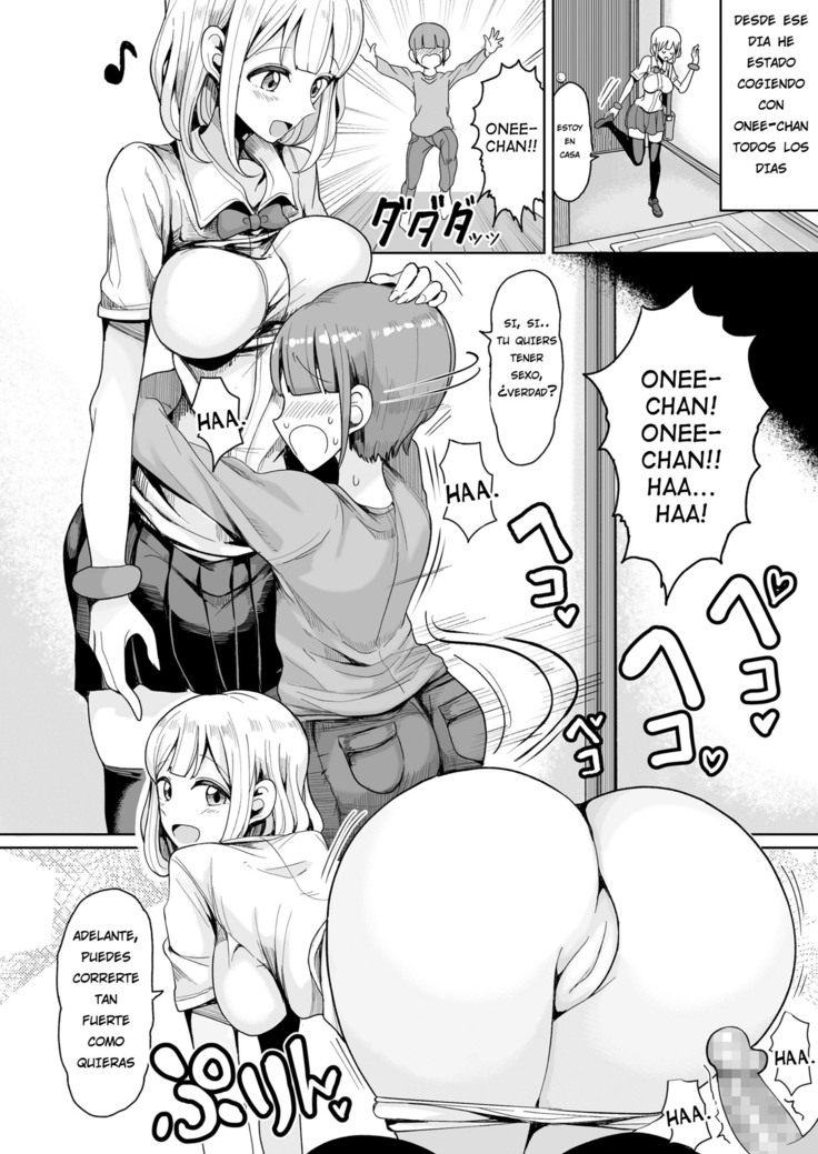 Boku no Onee-chan ni wa Teisou Gainen ga Nai