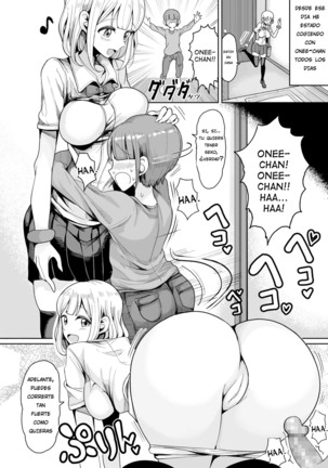 Boku no Onee-chan ni wa Teisou Gainen ga Nai