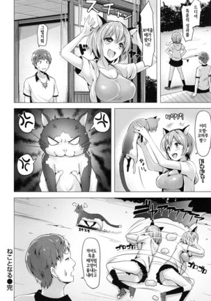 Aigan Buffet - Petting Buffet - Page #219