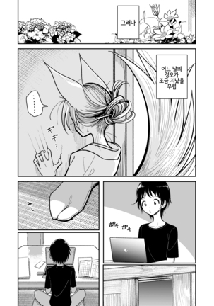 Image 9040059