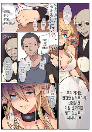 Elf no Matsuro ~Shojo Kara Shoufu Ochi Suru 200-nenkan~ | 엘프의 말로 ~처녀에서 창부로 타락하는 200년간~ - Page 14