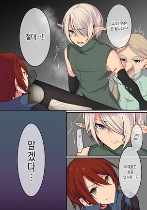 Elf no Matsuro ~Shojo Kara Shoufu Ochi Suru 200-nenkan~ | 엘프의 말로 ~처녀에서 창부로 타락하는 200년간~ - Page 37