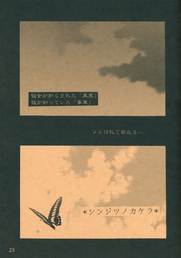 Shinjitsu no Kakera