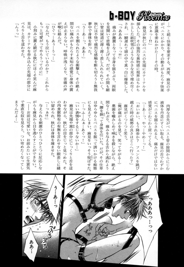 b-BOY Phoenix Vol.4 Seikantai Tokushuu