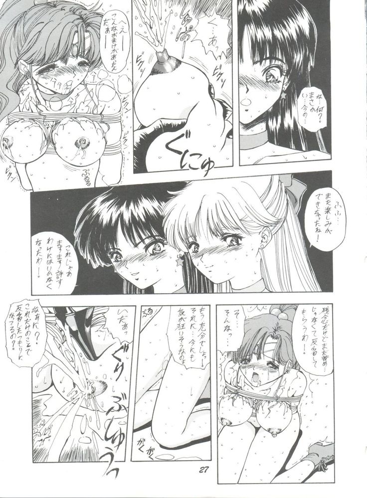 Pussy Cat Vol. 25 Sailor Moon 2