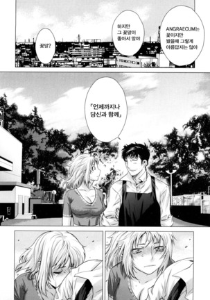 Angraecum | 앙 구레카무 Page #211