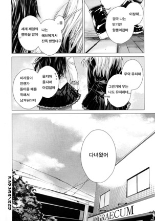 Angraecum | 앙 구레카무 Page #212