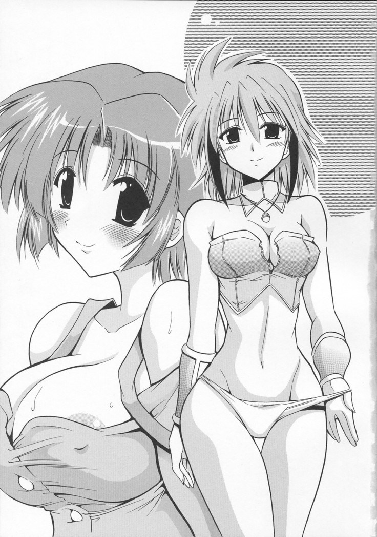 SUPAROBO NO H NA HON / Super Robot Wars Erotic Collection