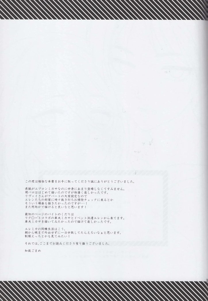 EreMika Yojouhan