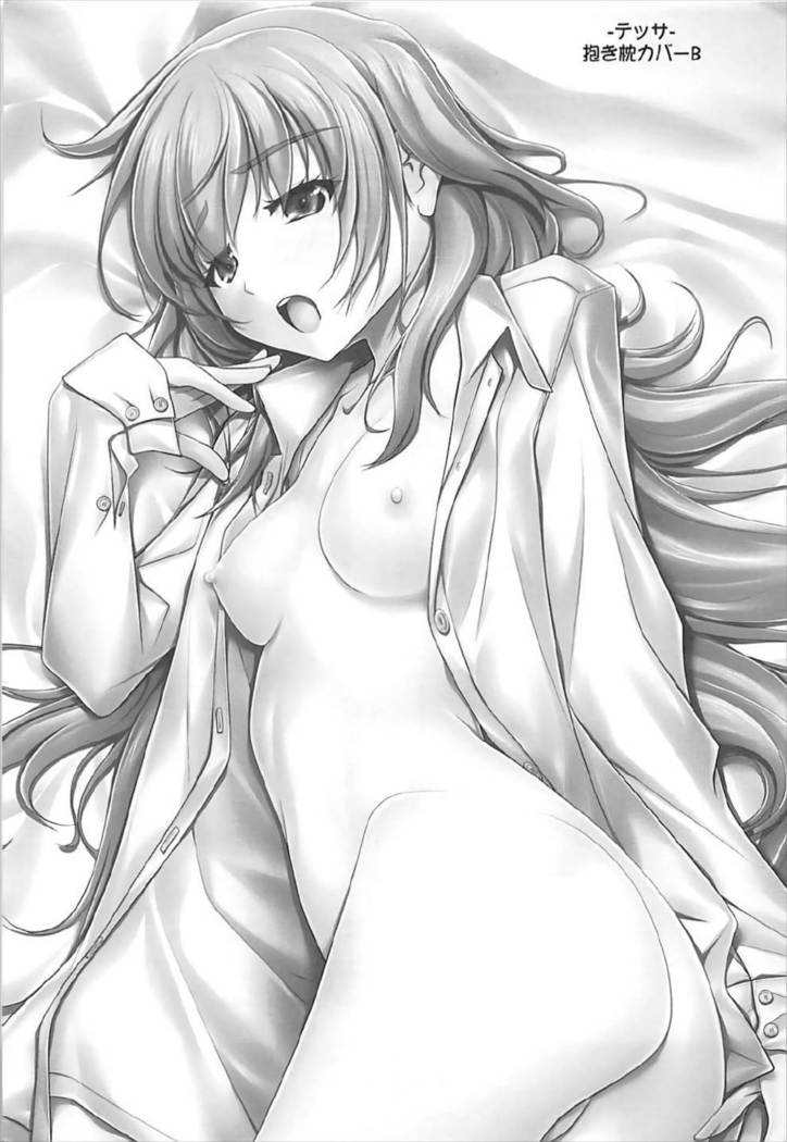 Sokosoko Isogashii Sentaichou no Tokubetsuna Ichinichi
