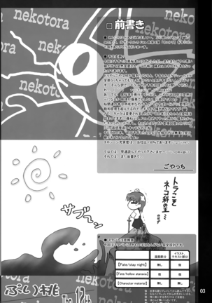Nekotora -Nekoka no Onee-san wa Suki desu ka?- | Cat Tiger: Do you like feline big sisters? Fate/Stay Afternoon