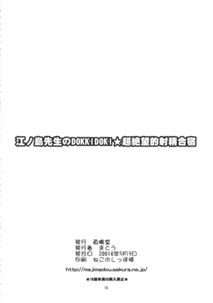 Enoshima-sensei no DOKKIDOKI Chouzetsubouteki Shasei Gasshuku - Page 17