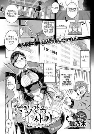 Sakura no Saki | 벚꽃같은사키 Page #2