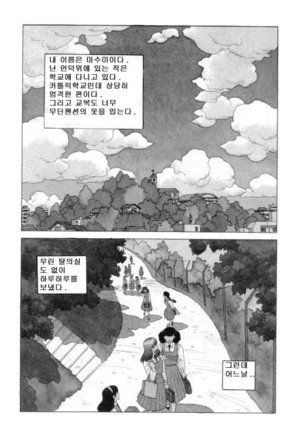 Image 4678654
