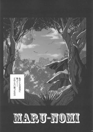 1006 Nano - Cyclone no Soushuuhen Page #66