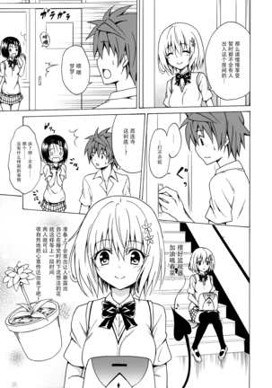 Mezase! Rakuen Keikaku Vol. 2 Page #15