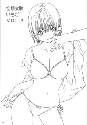 Kuusou Zikken Ichigo Vol.3