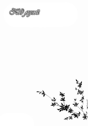 Image 5354414