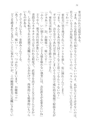 お嬢様☆メイド化計画 Page #37