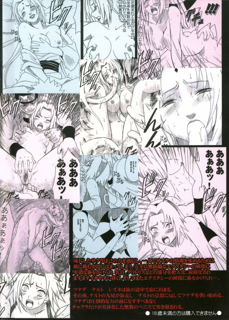 Uzumaki Hanataba 2 - Whirlpool Bouquet 2